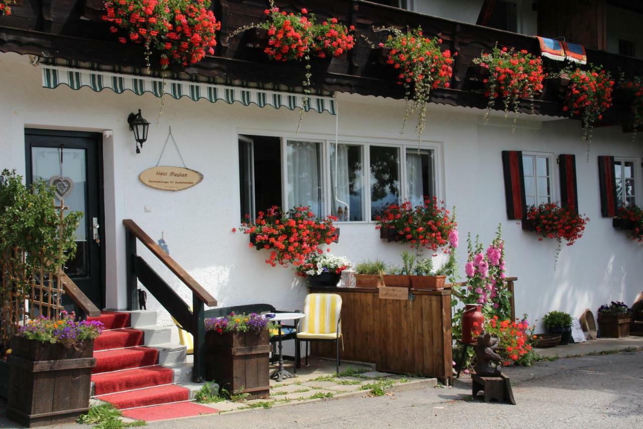 Haus Mauken - Appartments Mit Panoramablick Murau Exteriér fotografie