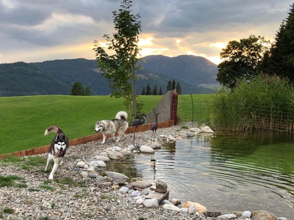 Haus Mauken - Appartments Mit Panoramablick Murau Exteriér fotografie